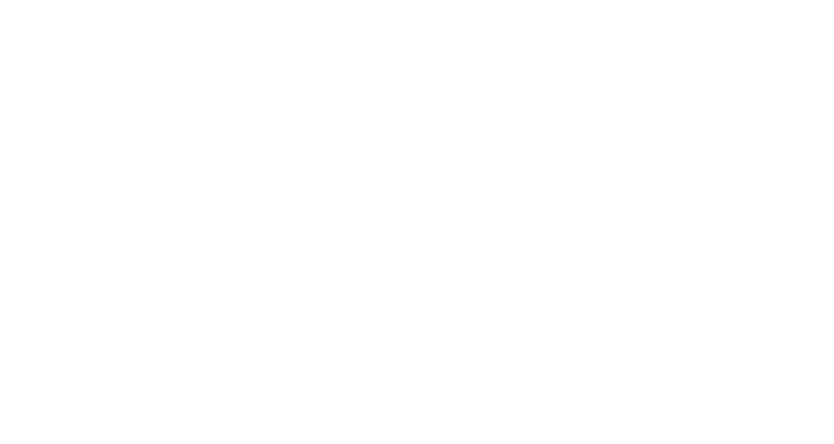 AI HI-View