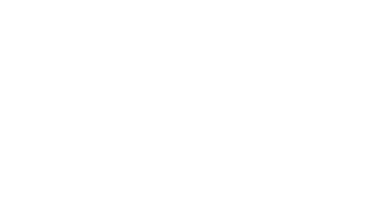 HI View engine X