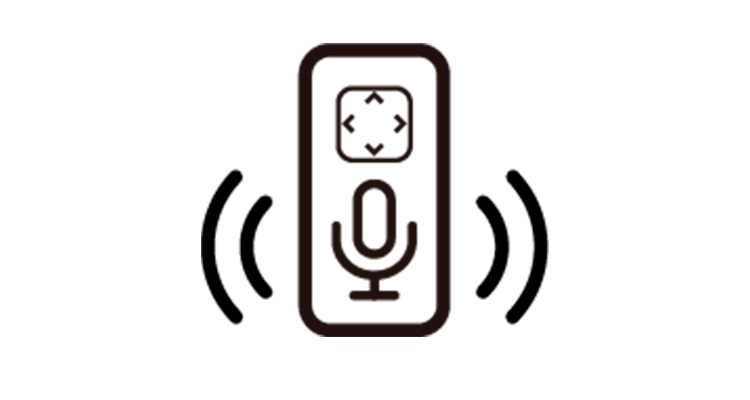 Voice control