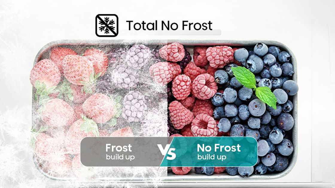 Total No Frost 1120x630